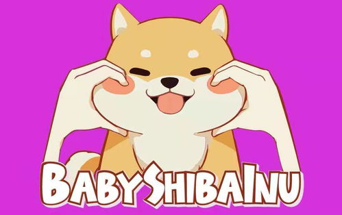 BABYSHIBA币有希望吗