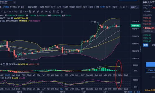 XP币历史价格走势怎么样？