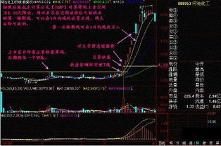 宅家时光，借《日本蜡烛图技术》探秘股市密码