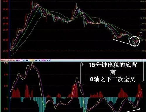 IoTeX (IOTX)：潜力无限的开放经济生态与未来价格展望