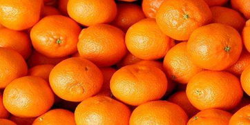 橘子 橙子 柚子, 到底那个是冬天水果中的皇妃