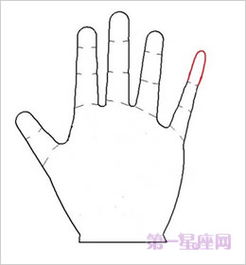 手指看相 小拇指长代表什么 