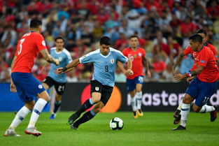 球星卡（2024美洲杯）：乌拉圭队26人一览