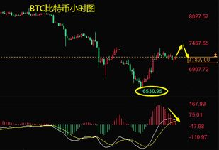 BTCDOWN币历史价格走势怎么样？