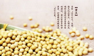 黄豆什么时候种,黄豆几月份种植 黄豆几月份种植合适