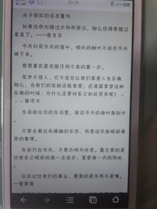 接受现实名言