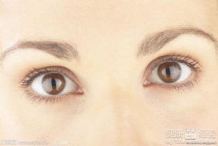 左眼玻璃体浑浊伴黄斑变性眼压临界怎么治疗