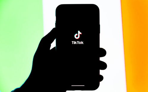 下载的tiktok用不了_TikTok开户