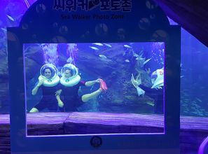 在京畿道水族馆,体验海底漫步的乐趣