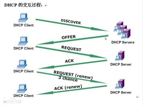 dhcp报文类型有哪些(虚拟机dhcp服务器配置步骤)