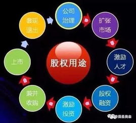 请问：什么是股权？股权是怎么定义的？