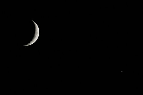 哪个角度可以观察金星和月亮