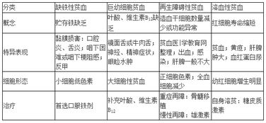 医师分阶段考试 贫血的分类及临床表现 