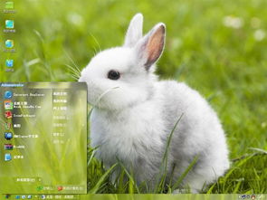 小白兔,电脑桌面主题 