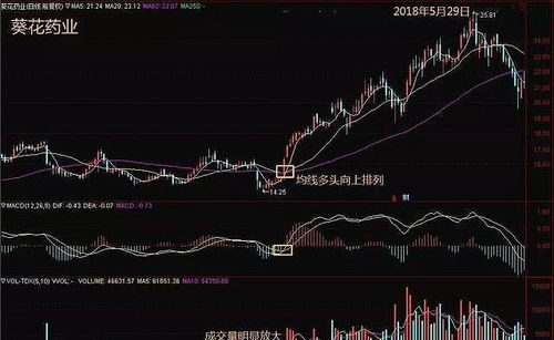 60亿的盘子的股票能涨到12元吗