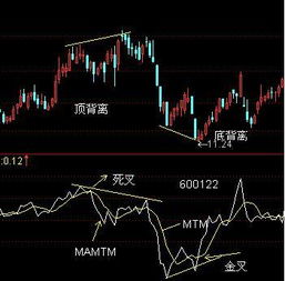 mtm是什么指标视频,MTM的定义。 mtm是什么指标视频,MTM的定义。 百科