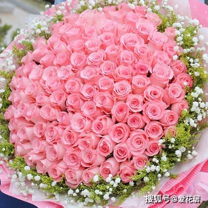 粉色戴安娜99朵花语,99朵玫瑰代表什么
