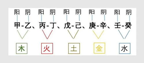 罗天 火龙君 如何通过八字,五行,十神,辨别适合演员