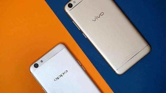OPPO手机和ViVO手机明明是一家人为什么被