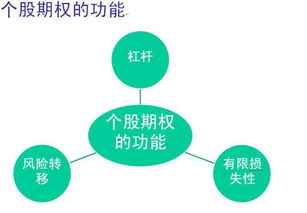 一只股票12元买的，涨到20%，是多少钱，如何算