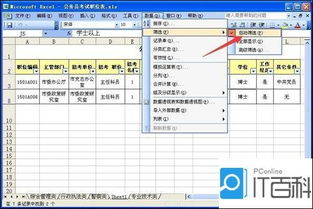 excel怎么自动筛选类别,Excel自动筛选功能大揭秘，让你工作效率翻倍！