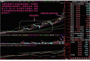 怎样才能抓到牛股