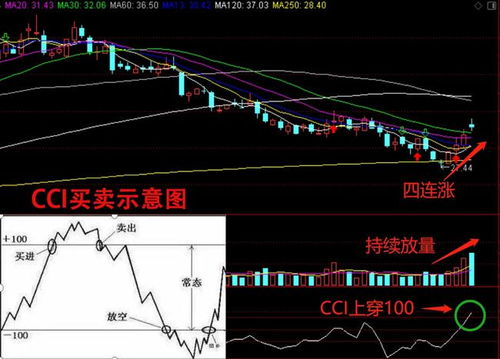 立昂技术：加速提升公司算力水平，扩大IDC业务布局