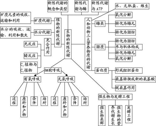 高中生物