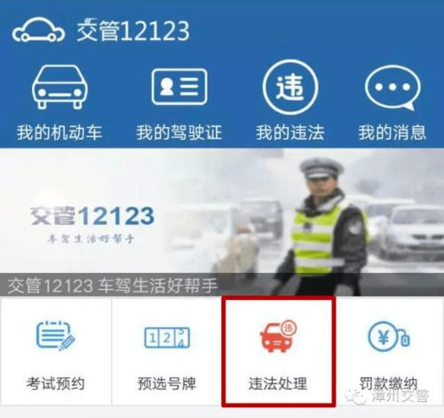 汽车保险查询12123,交管12312怎么查询车辆交强险