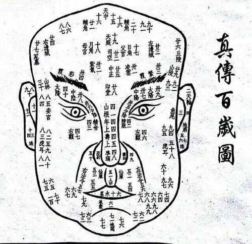 太阳骨突出面相图片