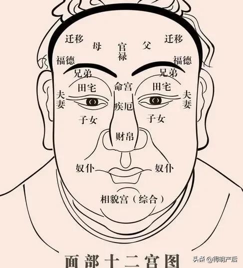 富贵险中求 错 富贵在心不在天,通过 相面术 参透美丽人生