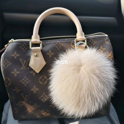 LV speedy 25 还是值得买的