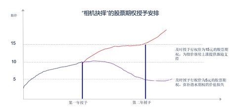 谁能解释下，公司给予的期权20000股，行权价2.2美元，是什么意思？