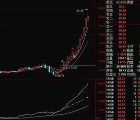 周五买入的股票周六查询无成交记录 但是资金却少了 怎么回事