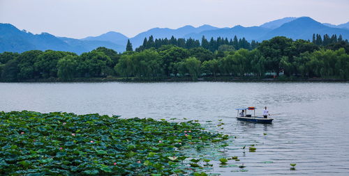 杭州西湖旅游攻略大全,你想要的都在这里 