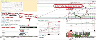 赢家江恩软件最大的特点是什么？