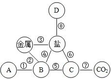 盐 金属 基本反应类型 Fe CuSO4 Cu Ag Cu 