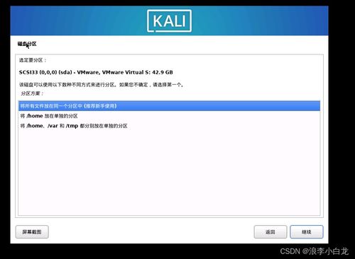 kali分区方案,Kali Linux分区方案详解  第1张