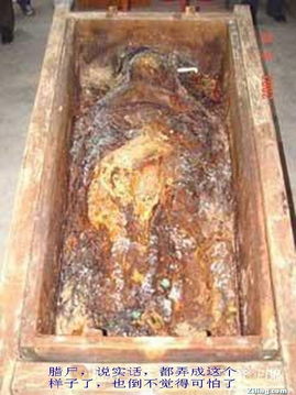探索发现凤棺女尸,发现凤棺女尸:湖南探索千年古墓的惊人发现