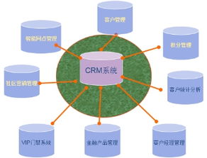 企业怎么对顾客案例及分析