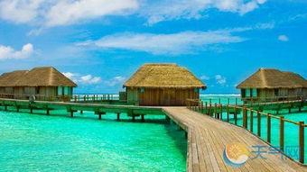 马尔代夫出国旅游要带什么（旅行必备清单）（马尔代夫旅游需要办签证吗）