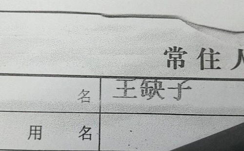 你见过哪些离谱的名字