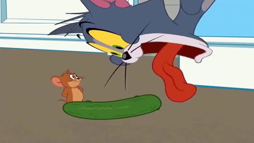 猫和老鼠 Tom最害怕的东西居然是这个,Jerry又抓住了他的把柄 