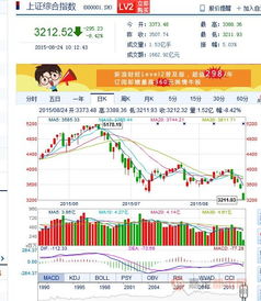 2015年8月24号股市大跌的惨啊