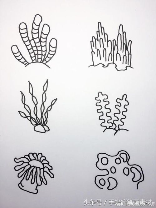 海底世界大海小鱼珊瑚简笔画 大海和海底动植物简笔画大全 新闻 蛋蛋赞 