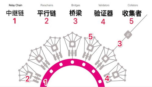 波卡币上主网了吗,clv币主网什么时间上线 波卡币上主网了吗,clv币主网什么时间上线 应用