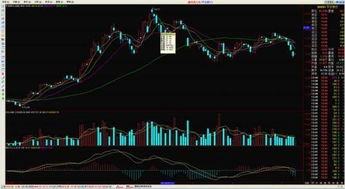 鑫网通达信下载