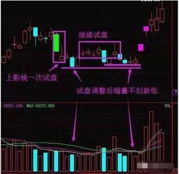 中国股市第一人坦言 如果散户死拿着股票不撒手,庄家会怎么办