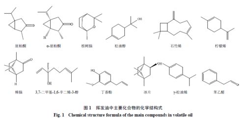 几种黄铜酚酸类化合物毕业论文