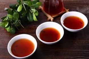 普洱茶买生普还是熟普,普洱茶是生茶好还是熟茶好
